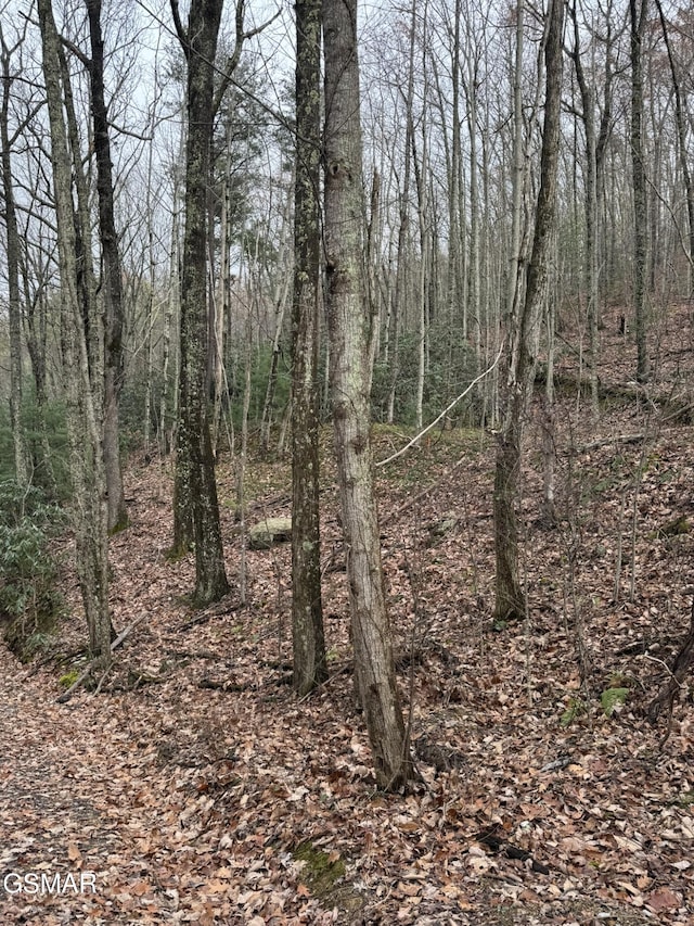 LOT6-7 John Sevier Dr, Sevierville, TN 37876 - photo 4