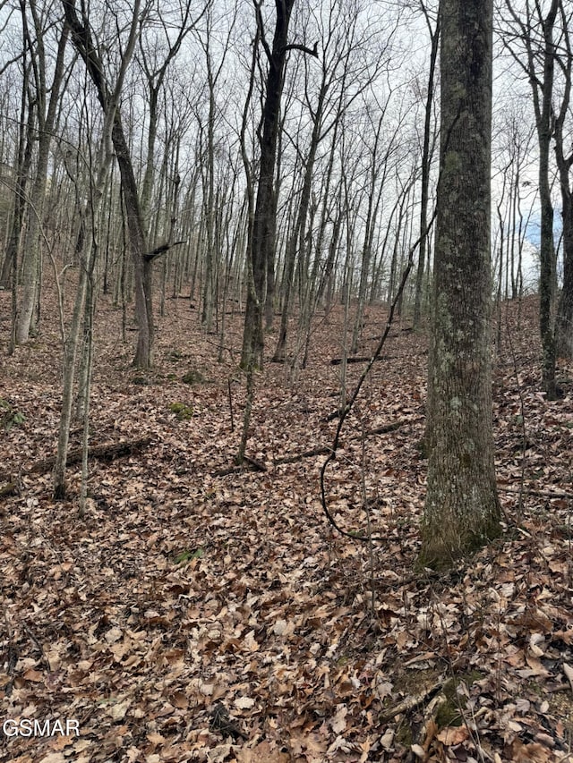 LOT6-7 John Sevier Dr, Sevierville, TN 37876 - photo 2