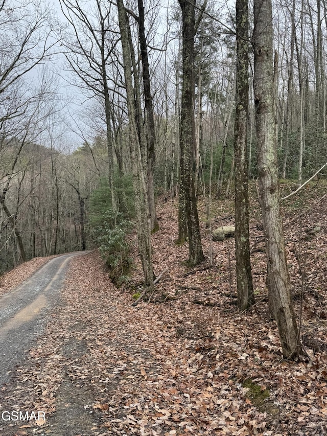 LOT6-7 John Sevier Dr, Sevierville, TN 37876 - photo 5
