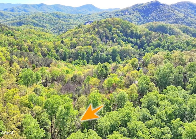 Lot6 Emerald Springs Loop, Sevierville, TN 37862 - photo 3