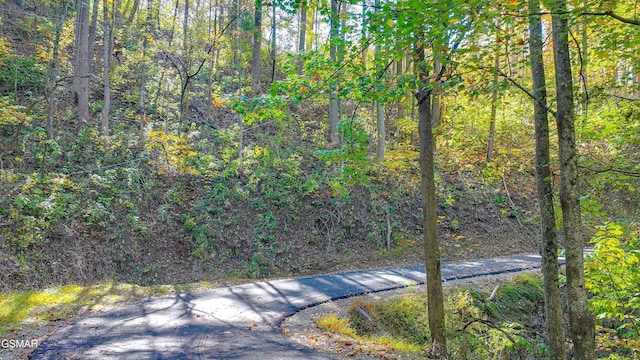 Lot6 Emerald Springs Loop, Sevierville, TN 37862 - photo 8