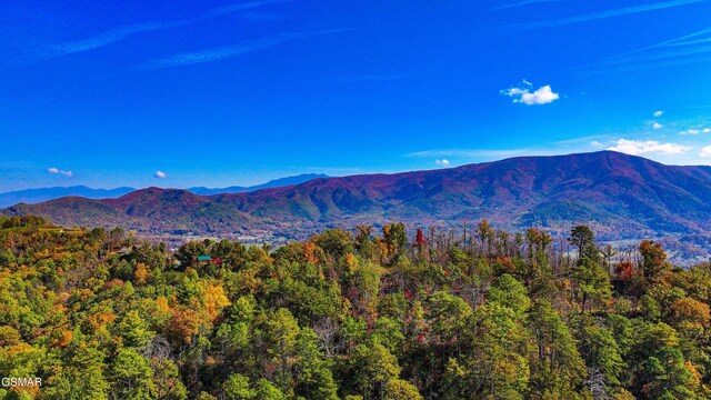 Lot6 Emerald Springs Loop, Sevierville, TN 37862 - photo 7