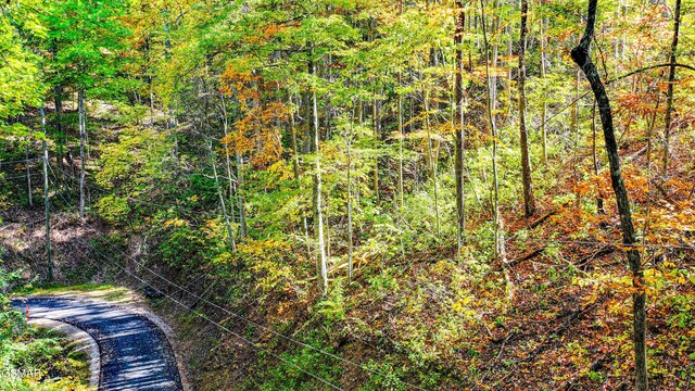 Lot6 Emerald Springs Loop, Sevierville, TN 37862 - photo 5