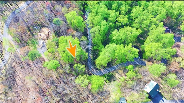 Lot6 Emerald Springs Loop, Sevierville, TN 37862 - photo 2