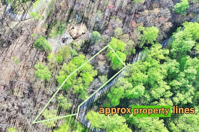 Lot6 Emerald Springs Loop, Sevierville, TN 37862 - photo 1
