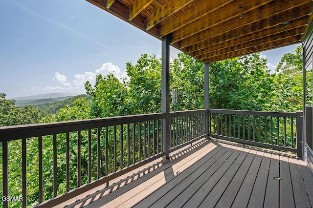 843 Sourwood Dr, Gatlinburg, TN 37738 - photo 39
