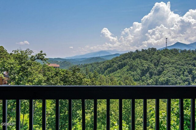 843 Sourwood Dr, Gatlinburg, TN 37738 - photo 40