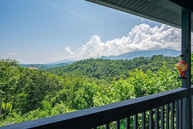 843 Sourwood Dr, Gatlinburg, TN 37738 - photo 2