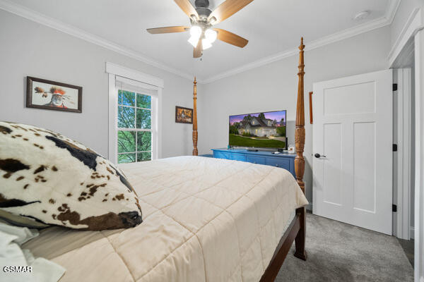 carpeted bedroom featuring ornamental molding and a ceiling fan