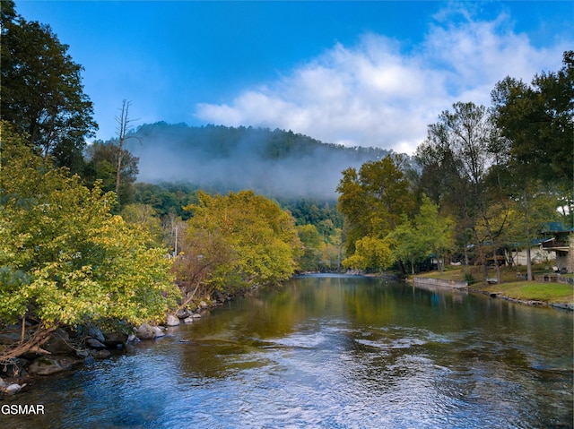 property view of water