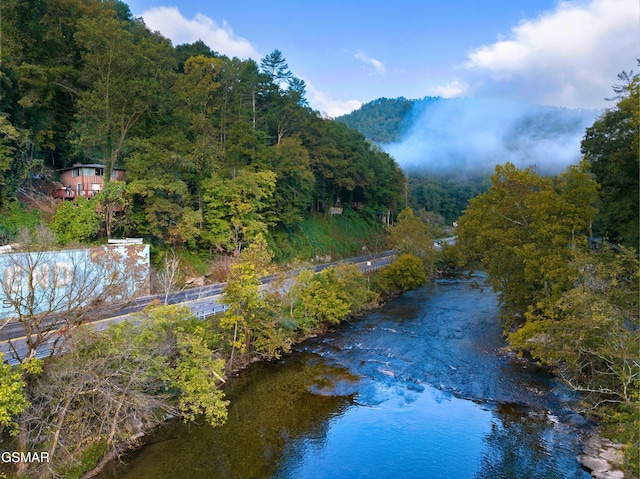 property view of water