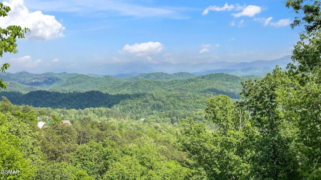 view of mountain feature featuring a wooded view