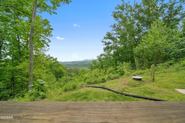 exterior space featuring a wooded view and a mountain view