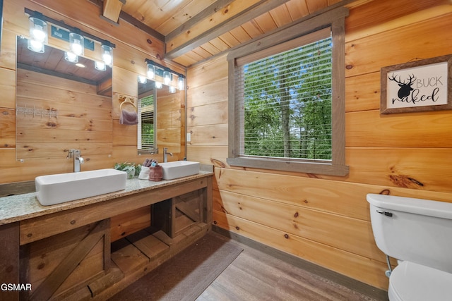 bathroom featuring a sink, toilet, and a healthy amount of sunlight