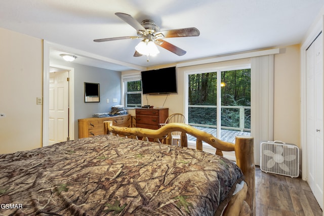 bedroom featuring ceiling fan, dark wood-type flooring, and a closet