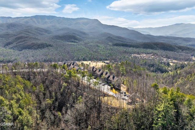 mountain view featuring a view of trees