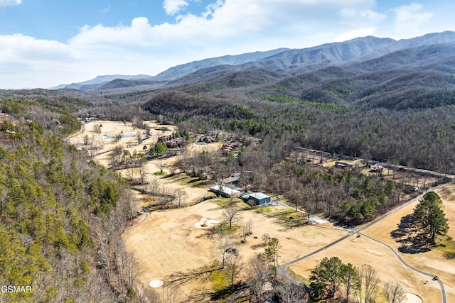 birds eye view of property featuring a mountain view