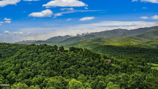 view of mountain feature with a wooded view