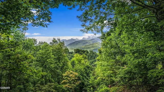 view of mountain feature featuring a wooded view