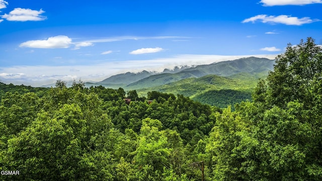property view of mountains