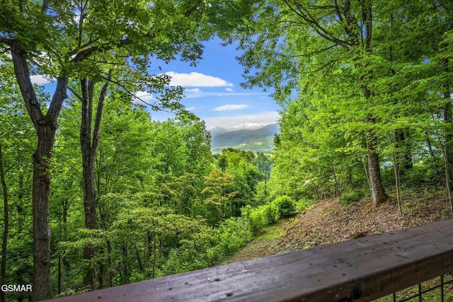 exterior space featuring a mountain view