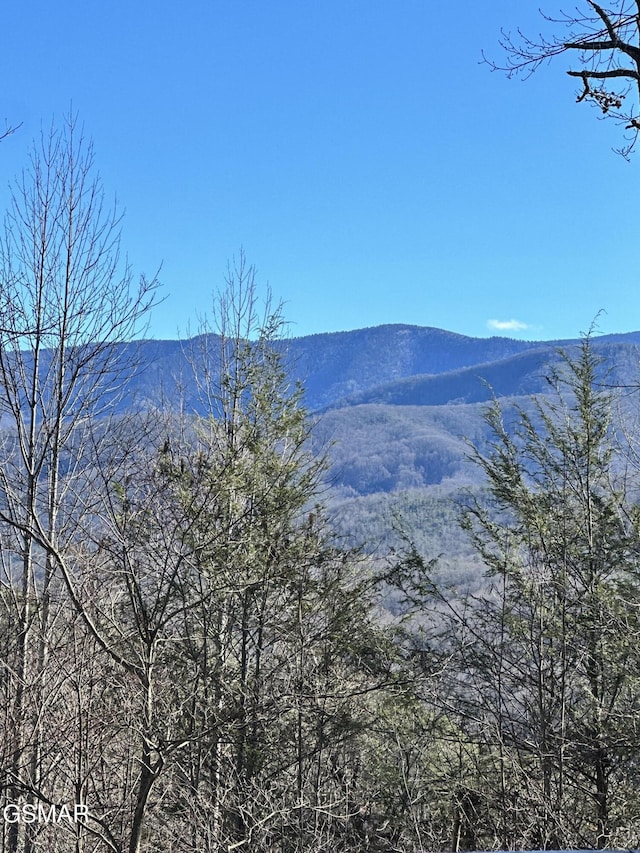 property view of mountains