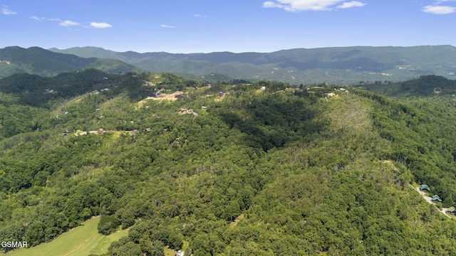 LOTS9-11 Mcgill Rd, Sevierville, TN 37862