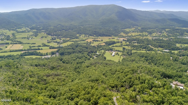 LOTS9-11 Mcgill Rd, Sevierville, TN 37862