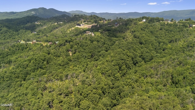 LOTS9-11 Mcgill Rd, Sevierville, TN 37862