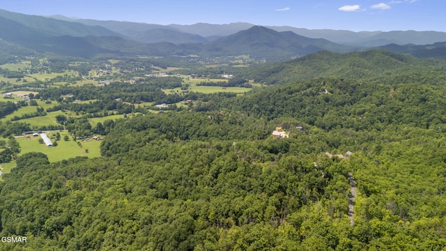 LOTS9-11 Mcgill Rd, Sevierville, TN 37862