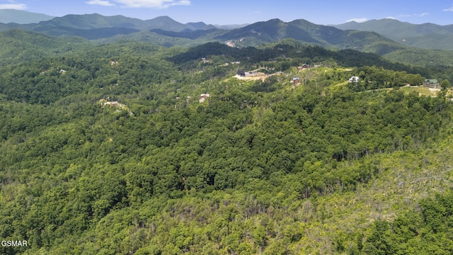 LOTS9-11 Mcgill Rd, Sevierville, TN 37862