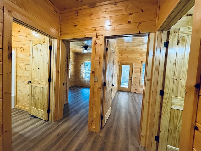 hall with wooden walls and dark hardwood / wood-style flooring