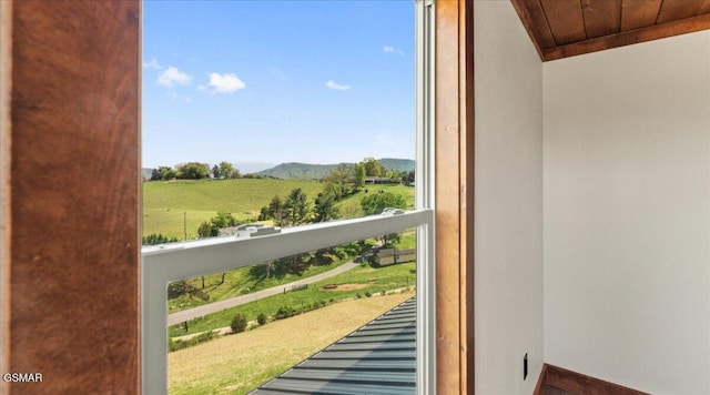 doorway with a mountain view and a wealth of natural light