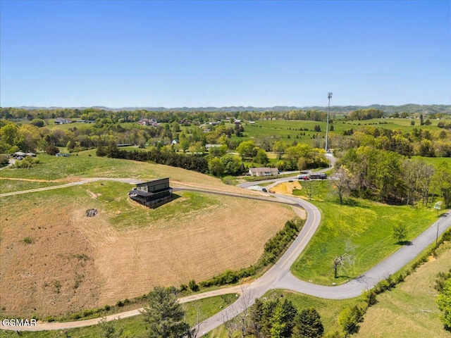 drone / aerial view