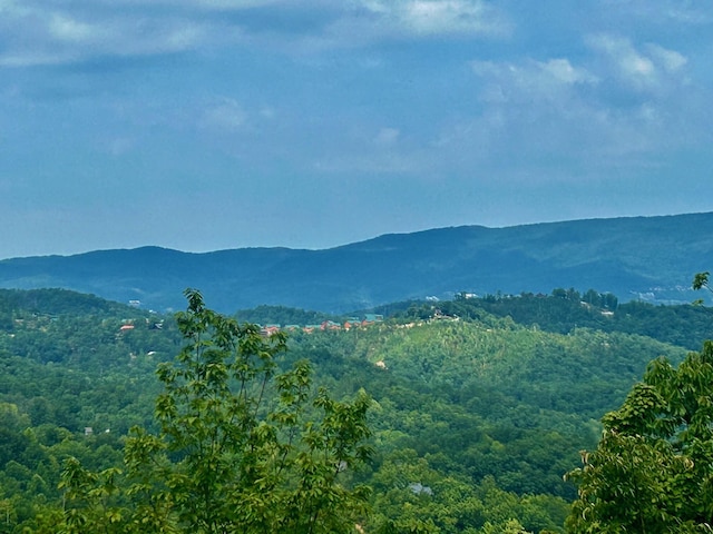 1824 Pinestand Ridge Way, Sevierville TN, 37862 land for sale