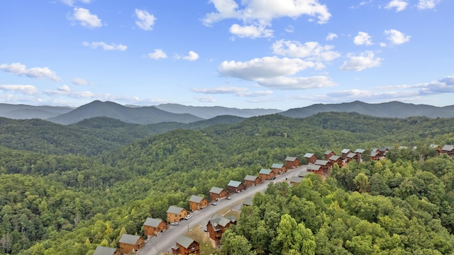 property view of mountains