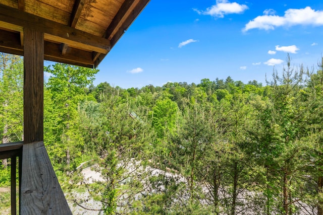 570 Country Oaks Dr, Pigeon Forge, TN 37863 - photo 38