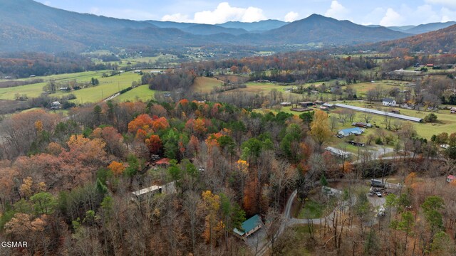 drone / aerial view featuring a mountain view