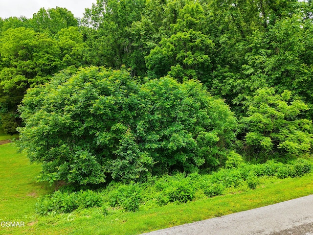 0 Mountain Perkins Ln, Jacksboro, TN 37757