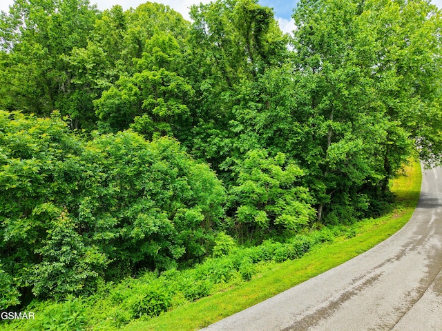 0 Mountain Perkins Ln, Jacksboro, TN 37757