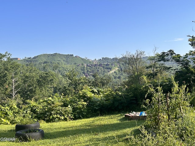 384 Loop Rd, Gatlinburg, TN 37738 - photo 20