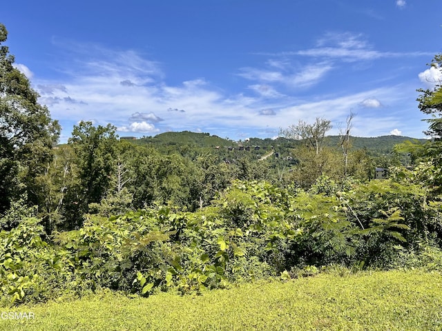 384 Loop Rd, Gatlinburg, TN 37738 - photo 18