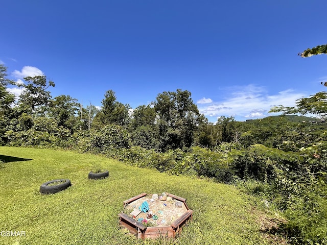 384 Loop Rd, Gatlinburg, TN 37738 - photo 17