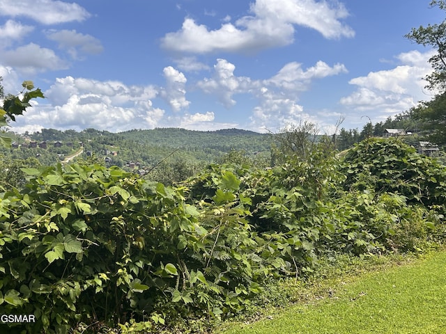 384 Loop Rd, Gatlinburg, TN 37738 - photo 4
