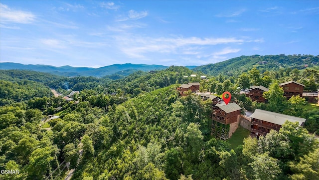 812 Resort Way, Gatlinburg, TN 37738 - photo 36