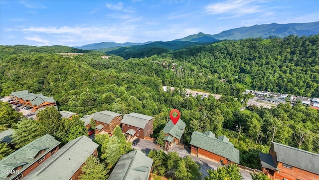 812 Resort Way, Gatlinburg, TN 37738 - photo 33