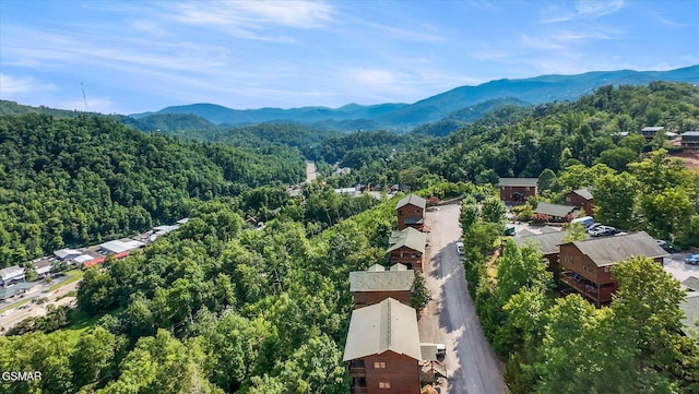 812 Resort Way, Gatlinburg, TN 37738 - photo 34