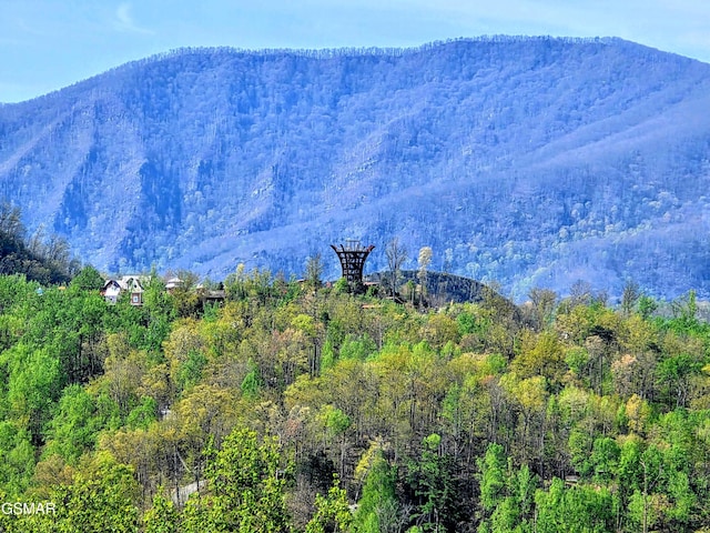 property view of mountains featuring a forest view