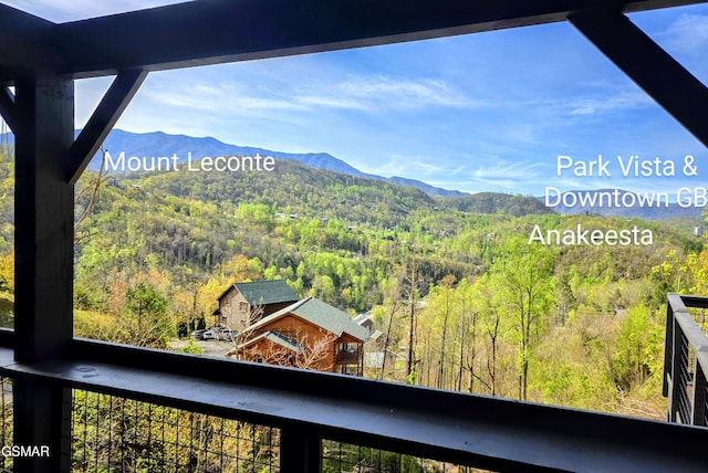 view of mountain feature with a wooded view