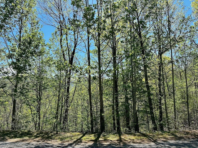 LOT18 Mountain Dreams Way, Sevierville TN, 37862 land for sale